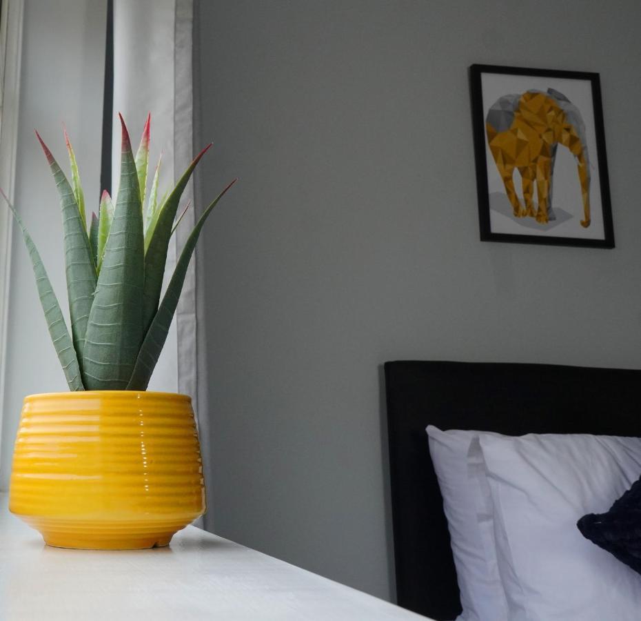 Portobello House - Four Bedroom House Perfect For Contractors - Sleeps 6 - Free Parking Wolverhampton Ngoại thất bức ảnh