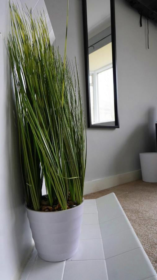 Portobello House - Four Bedroom House Perfect For Contractors - Sleeps 6 - Free Parking Wolverhampton Ngoại thất bức ảnh